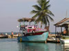 Caye Caulker
